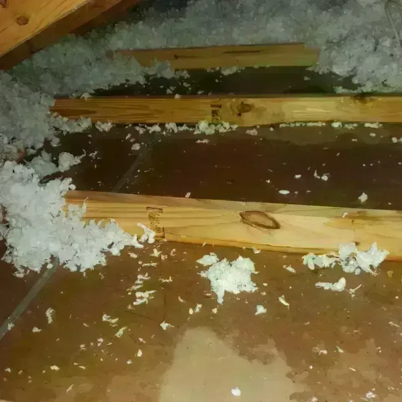 Attic Water Damage in Gibson County, TN